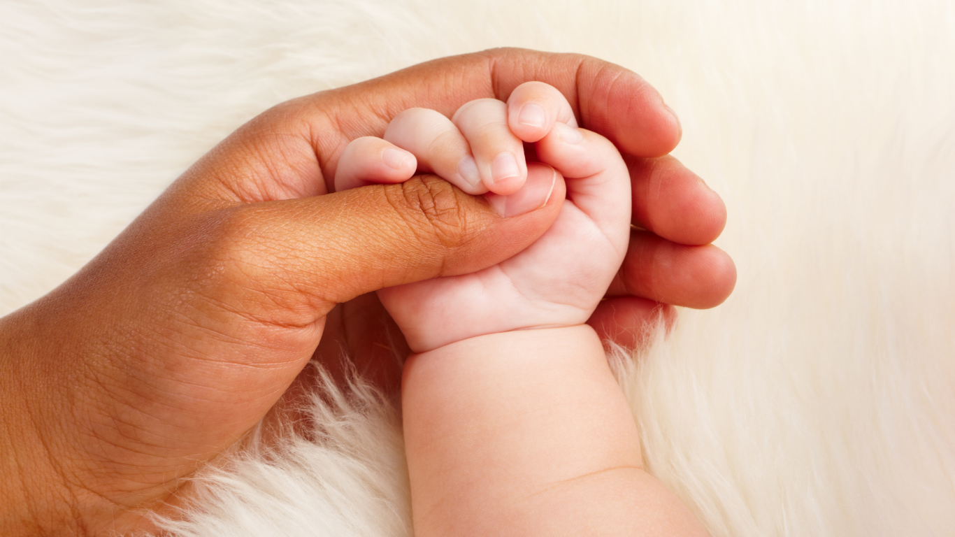 Adopciones